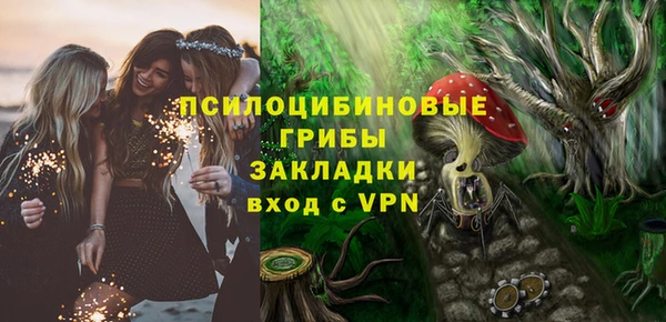 крисы Армянск