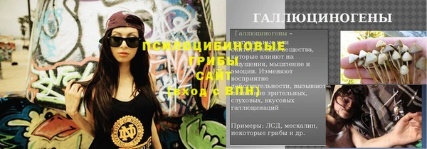 крисы Армянск